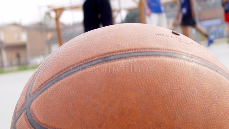 屋顶绿化报价单：揭秘影响报价的关键因素**