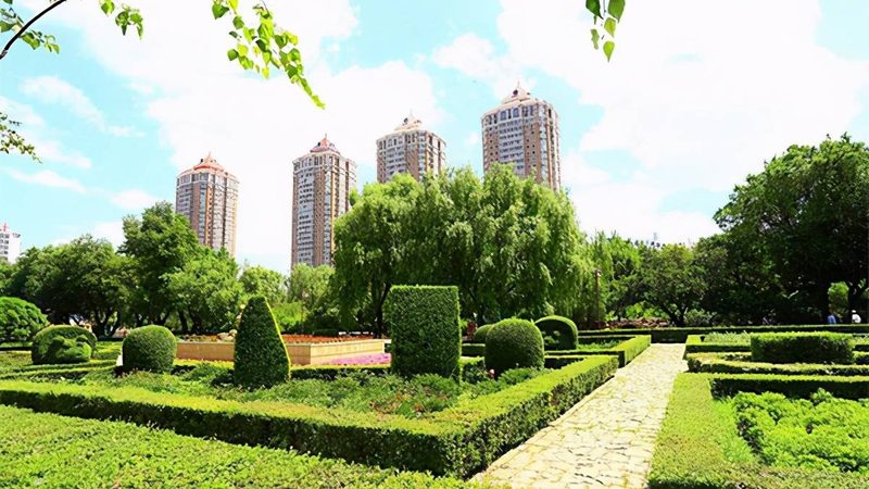 成都运动场草坪养护设备报价