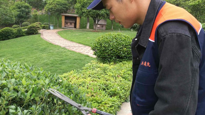 市政绿化土建技术参数表：揭秘工程质量的密码