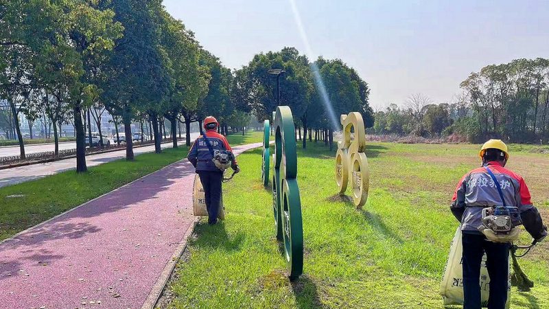 轻型屋顶绿化种植基质用量计算的关键因素