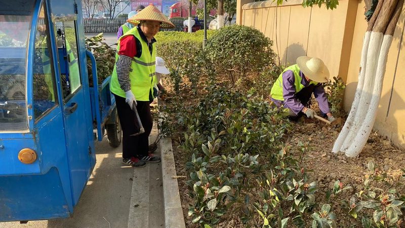绿化养护工人证查询官网：了解认证流程与重要性**