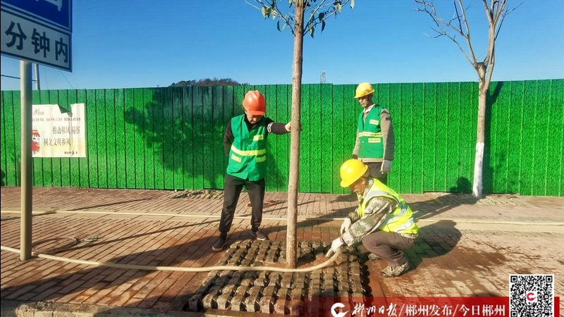 别墅花园设计：材料与人工费用的考量要点