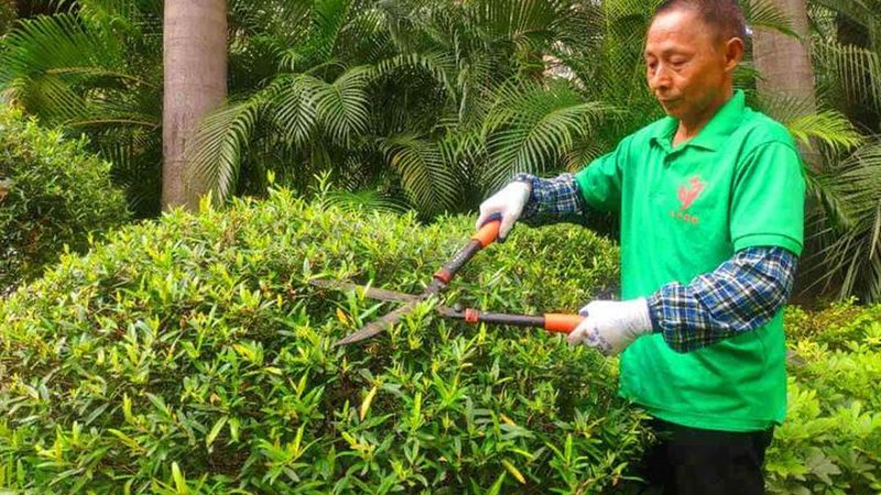 小型假山喷泉尺寸有哪些