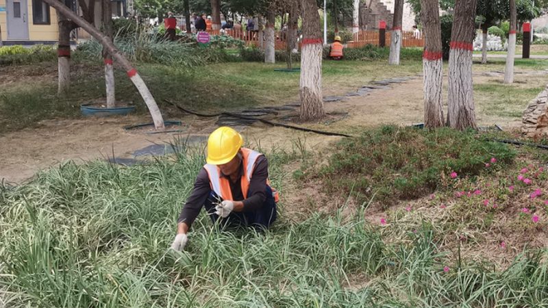 市政绿化养护与施工：两重天的使命**