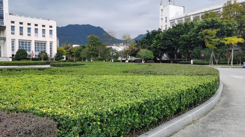 小面积别墅庭院绿化，如何制定合理报价？**