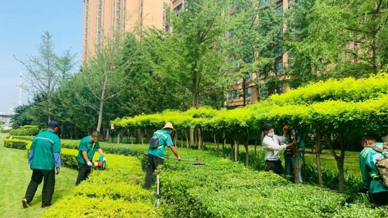 园林绿化资质等级标准规范全解析**