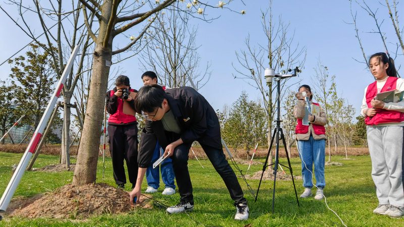 立体绿化灌溉系统：如何构建高效节水方案**
